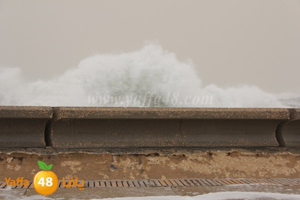 mina2 adrar jfe (14).jpg